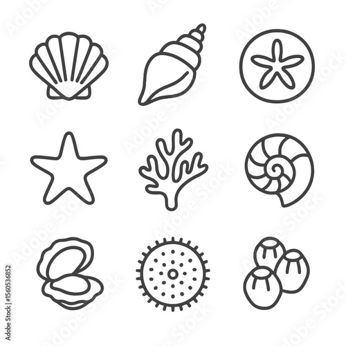 Seashell Icon Collection. Outline icon set of seashell and coral collections: scallop shell, conch shell, sand dollar, starfish,