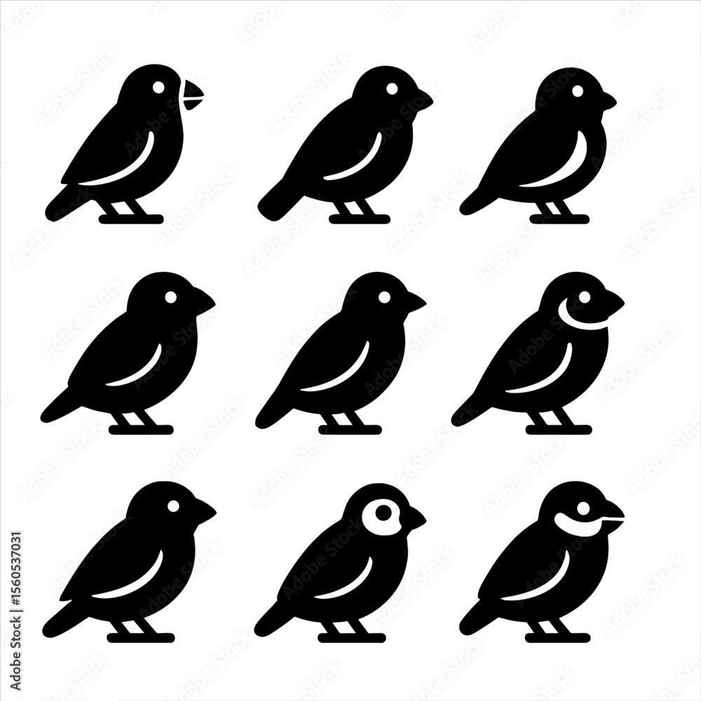 Obraz premium set of funny birds