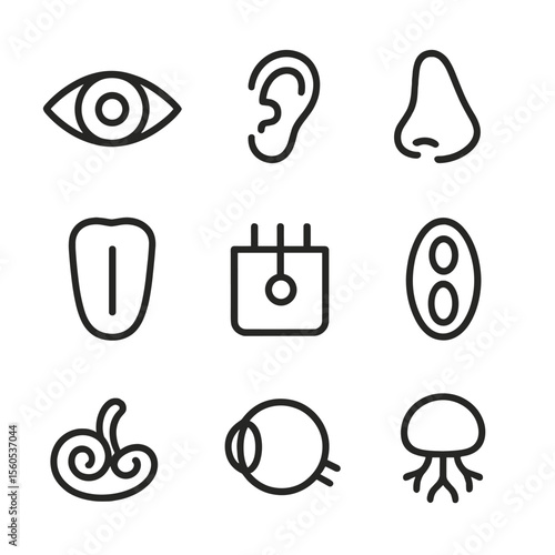 Sensory Organ Icons. Outline icon set of human sensory organs: eye, ear, nose, tongue, skin receptor, taste bud, cochlea, optic