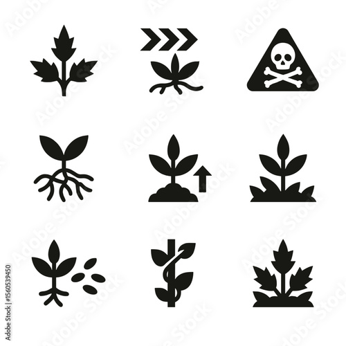 Harmful Weed Icons. Solid, filled icon set of harmful weed characteristics: spiky leaves, fast spread, root tangle, toxic sign,