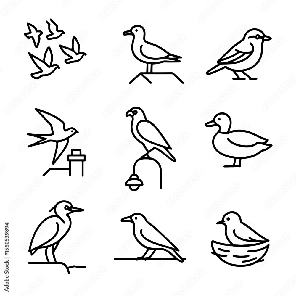 Fototapeta premium Urban Bird Icons. Outline icon set of urban bird life: pigeon flock, rooftop seagull, city sparrow, chimney swift, hawk on