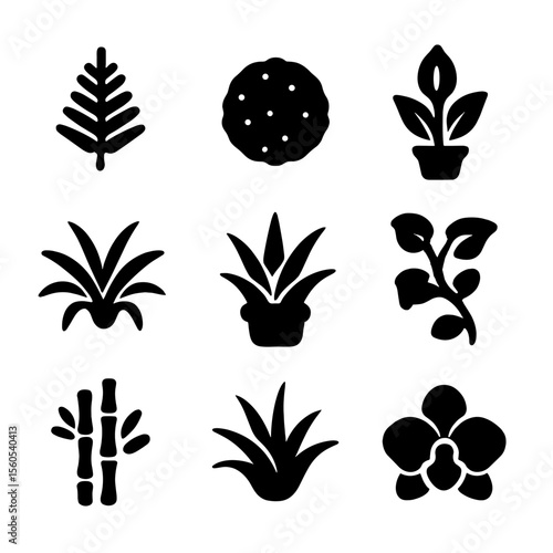 Humidity-Loving Plant Icons. Solid, filled icon set of humidity-loving bathroom plants: fern, moss ball, peace lily, spider plant,