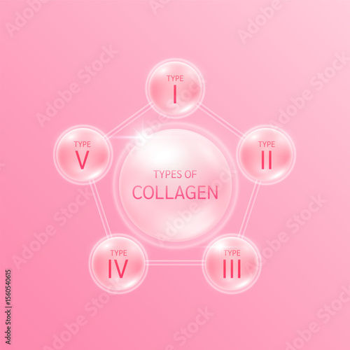 The five most common types of collagen protein. Main protein created connective tissues, cartilages, bones, nails, skin and hair. Medical and science concept. Vector EPS10.