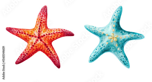 Watercolor clipart starfish isolated on white background