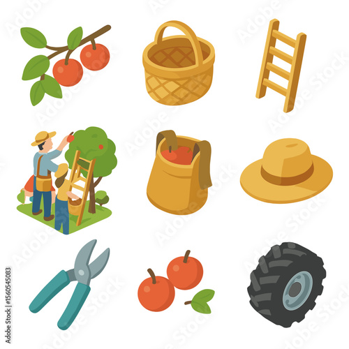 Orchard Harvest Icons. Isometric Flat icon set of couple fruit picking in an orchard on a farm: apple tree branch, wicker basket,