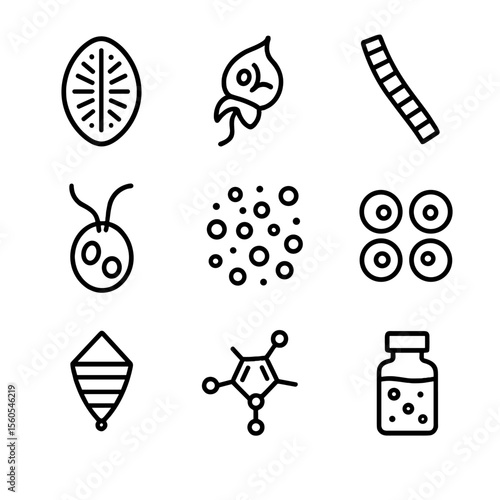 Phytoplankton Icon Collection. Outline icon set of phytoplankton and microscopic flora: diatom cell, dinoflagellate cell,