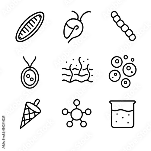 Phytoplankton Icon Collection. Outline icon set of phytoplankton and microscopic flora: diatom cell, dinoflagellate cell,