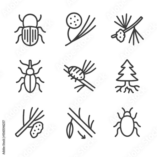 Pine Tree Pest Icons. Outline icon set of pine tree pests and diseases: bark beetle, needle blight spore, rust fungus, pine weevil