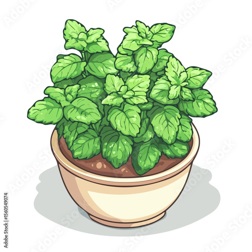 Lemon Balm, vector graphic, 2D flat isometric cartoon illustration on white background.
