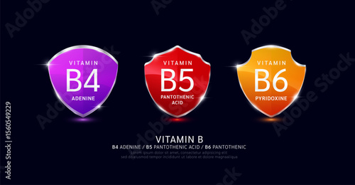 Vitamin B4 B5 B6 in translucent glass shield aluminum frame shiny modern 3D isolated on dark background. For design dietary supplement products. Health care protection. Vector.