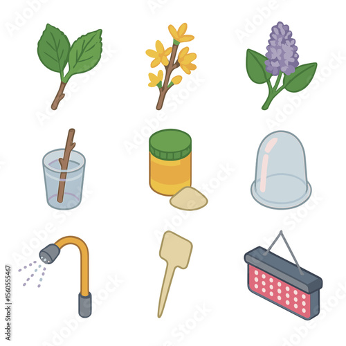 Woody Cutting Icons. Isometric Flat icon set of woody shrub cuttings: hydrangea cutting, forsythia cutting, lilac cutting, rooting