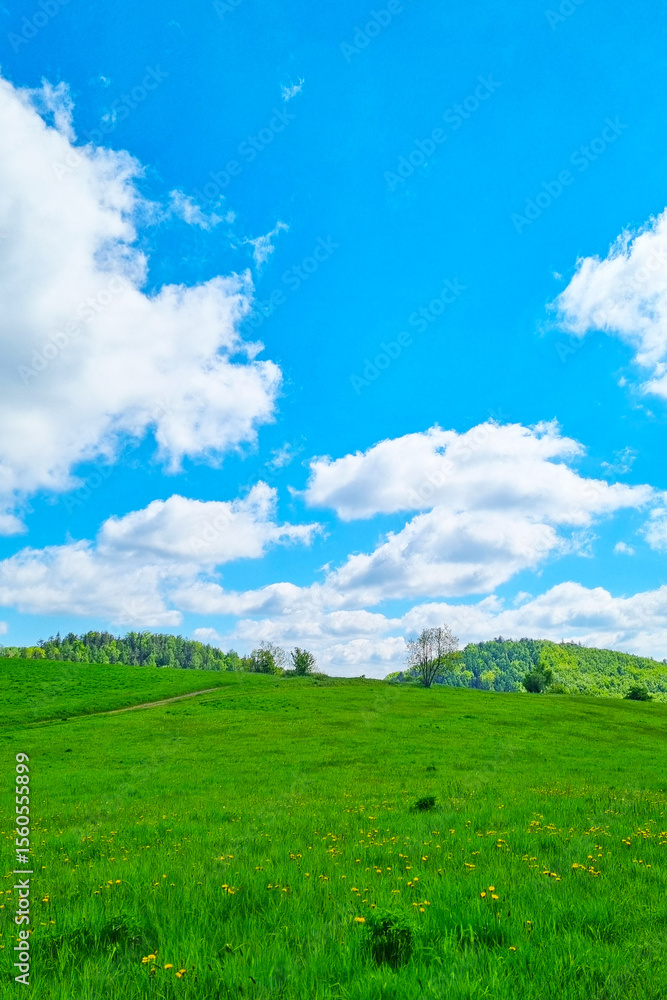 Fototapeta premium Peaceful Countryside Landscape with Vibrant Green Fields Under a Clear Blue Sky