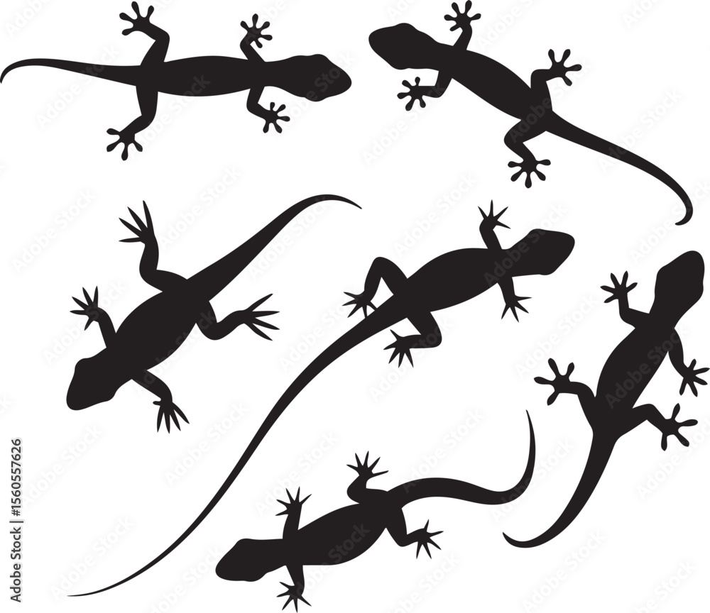 Naklejka premium Lizard silhouette reptiles gecko animal wildlife nature vector art