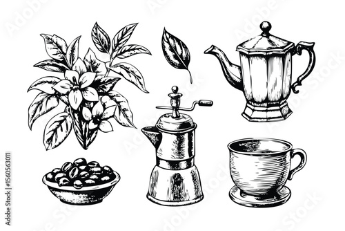 Coffee Vector Engraving Set. Detailed Illustrations of Coffee Plant, Beans, and Brewing Equipment. Vintage Stipple Style