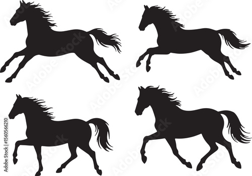 horse, stallion, mare, foal, pony, equine, animal, mammal, gallop, trot, ride, wildlife, ranch, farm, nature, silhouette, outline, 
