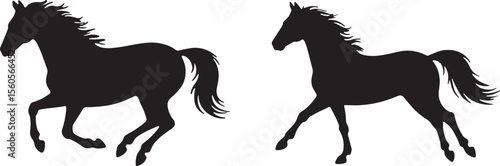 horse, stallion, mare, foal, pony, equine, animal, mammal, gallop, trot, ride, wildlife, ranch, farm, nature, silhouette, outline, 