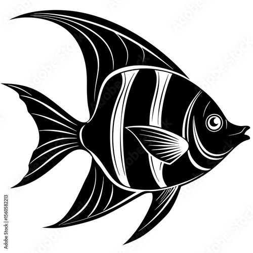 A black and white angelfish swims gracefully in the ocean