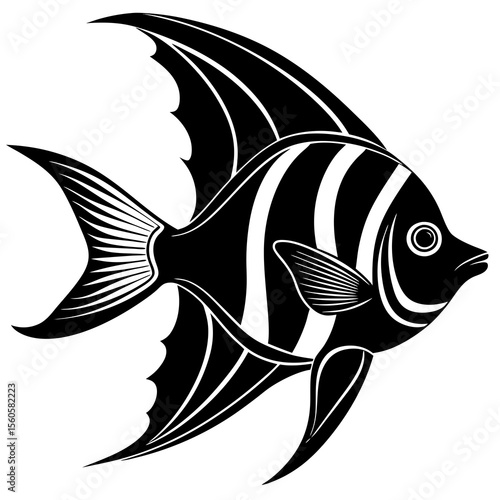 A black and white angelfish swims gracefully in the ocean