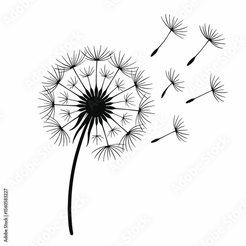 Handdrawn Detailed Dandelion Flower with Flying Seeds Floral Illustration