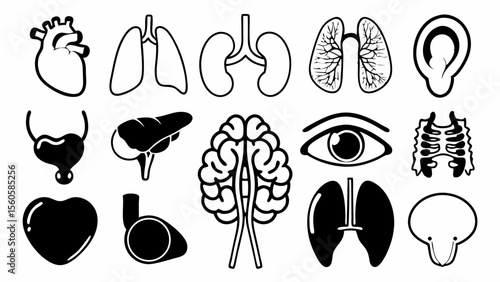 Collection of stylized black and white human internal organ icons for medical illustration