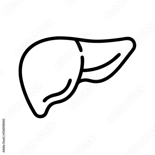 Human liver icon in black outline style on white background