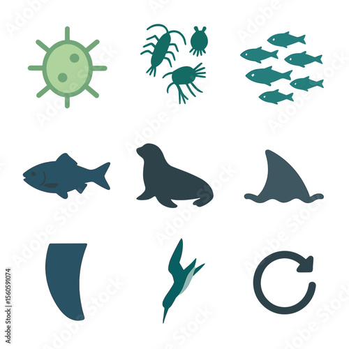 Marine Food Chain Icons. Flat icon set of marine food chain: phytoplankton cell, zooplankton group, small fish school, larger