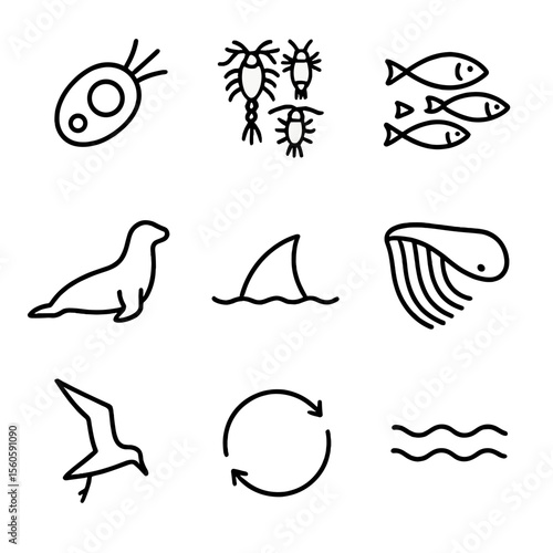 Marine Food Chain Icons. Outline icon set of marine food chain: phytoplankton cell, zooplankton group, small fish school, larger