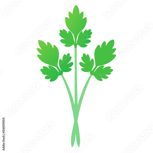 Stylized green parsley leaves with gradient on white background