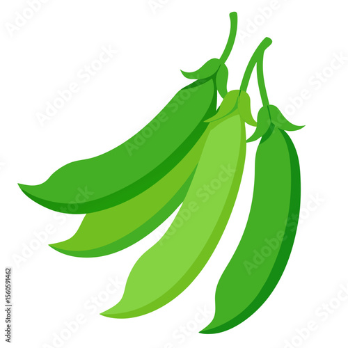 Three fresh green pea pods with stems on a white background