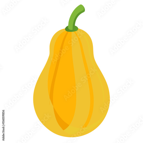 A simple illustration of a yellow butternut squash with a green stem