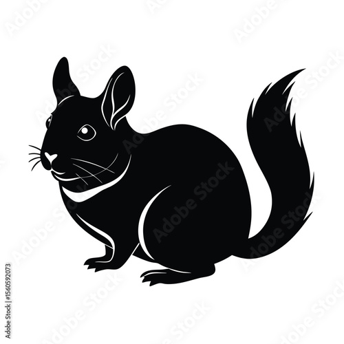 Chinchilla vector silhouette soft rodent on white background for cute pets and exotic animal visuals