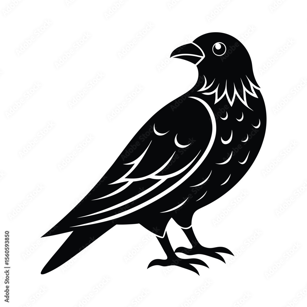 Fototapeta premium Nighthawk vector silhouette bird on white background for flying nocturnal and forest wildlife art