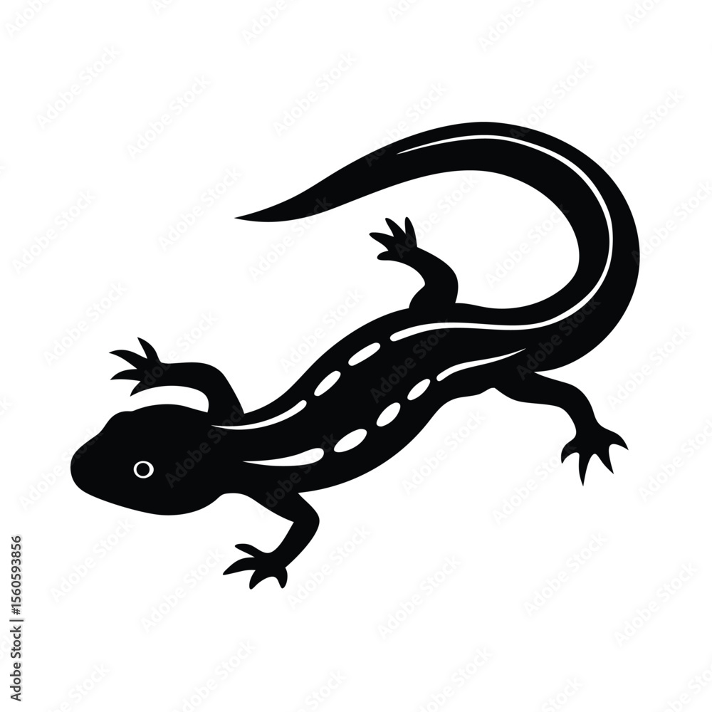 Fototapeta premium Newt vector silhouette amphibian on white background for lizard like animal and nature artwork