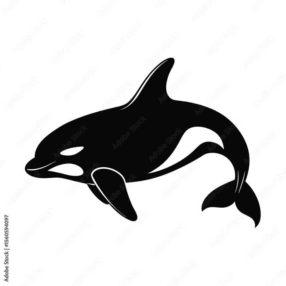 Obraz premium Orca vector silhouette killer whale on white background for marine mammal and ocean wildlife themes