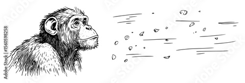 chimpanzee looking at floating particles