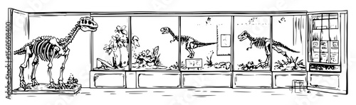 hand drawn dinosaur skeleton museum display vector line art