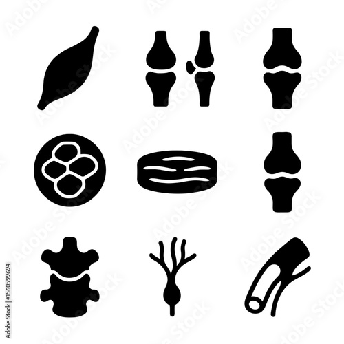 Muscle Anatomy Icons. Solid, filled icon set of muscle anatomy: skeletal muscle, tendons, ligaments, muscle fibers, fascia, joints