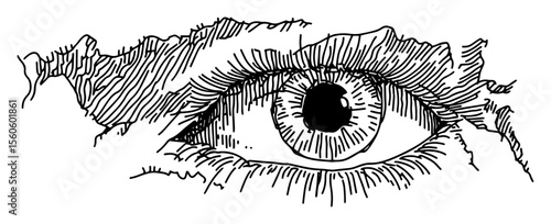 detailed human eye close up engraving hand drawn vector