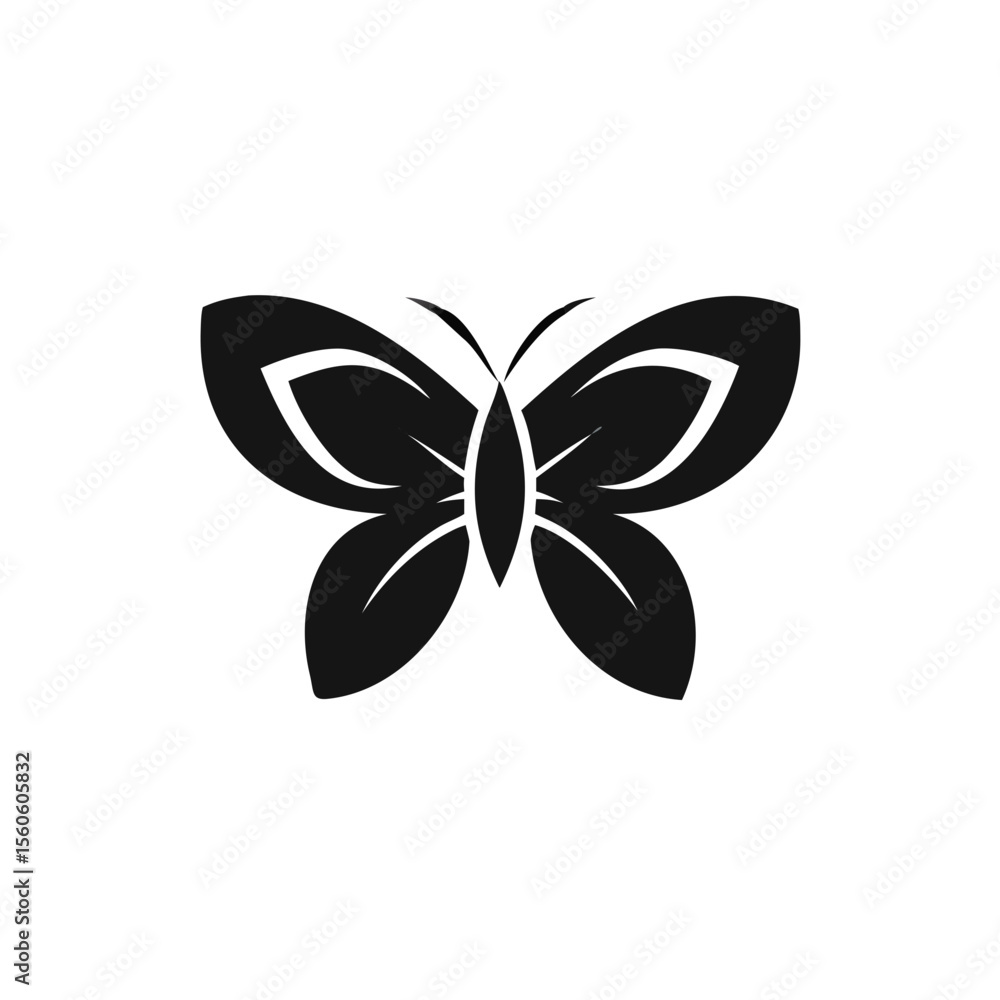 black and white butterfly black and white butterfly