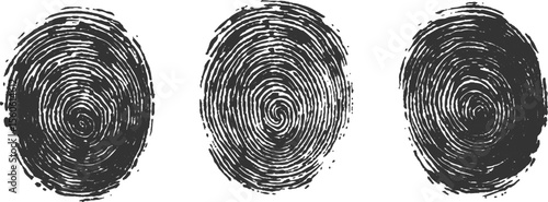 Set of three fingerprint scans isolated on transparent background. Digital biometric security and identification concept. Three different fingerprints are shown, different pattern on white background.