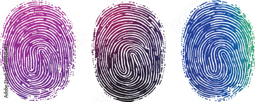 Set of three fingerprint scans isolated on transparent background. Digital biometric security and identification concept. Three different fingerprints are shown, different pattern on white background.