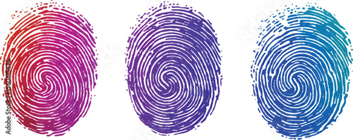 Set of three fingerprint scans isolated on transparent background. Digital biometric security and identification concept. Three different fingerprints are shown, different pattern on white background.