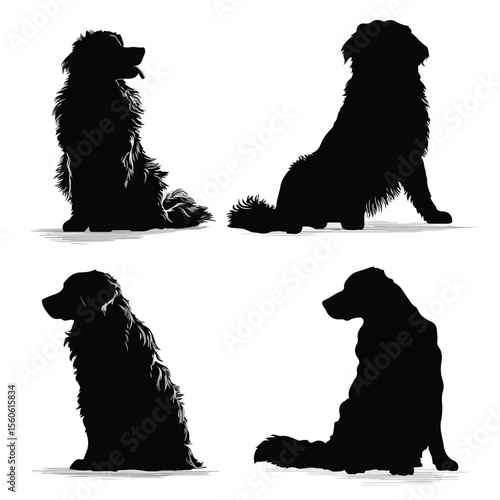 bernese mountain dog silhouette set, Black & White silhouette set