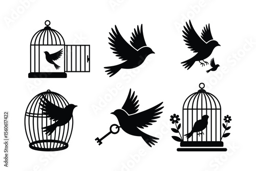 Birds flying from cages and a key birdcage flying birds