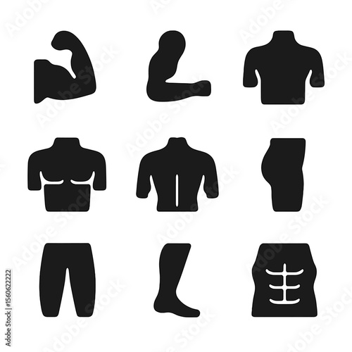 Resistance Band Muscle Icons. Solid, filled icon set of muscle groups targeted by resistance bands: biceps, triceps, shoulders,