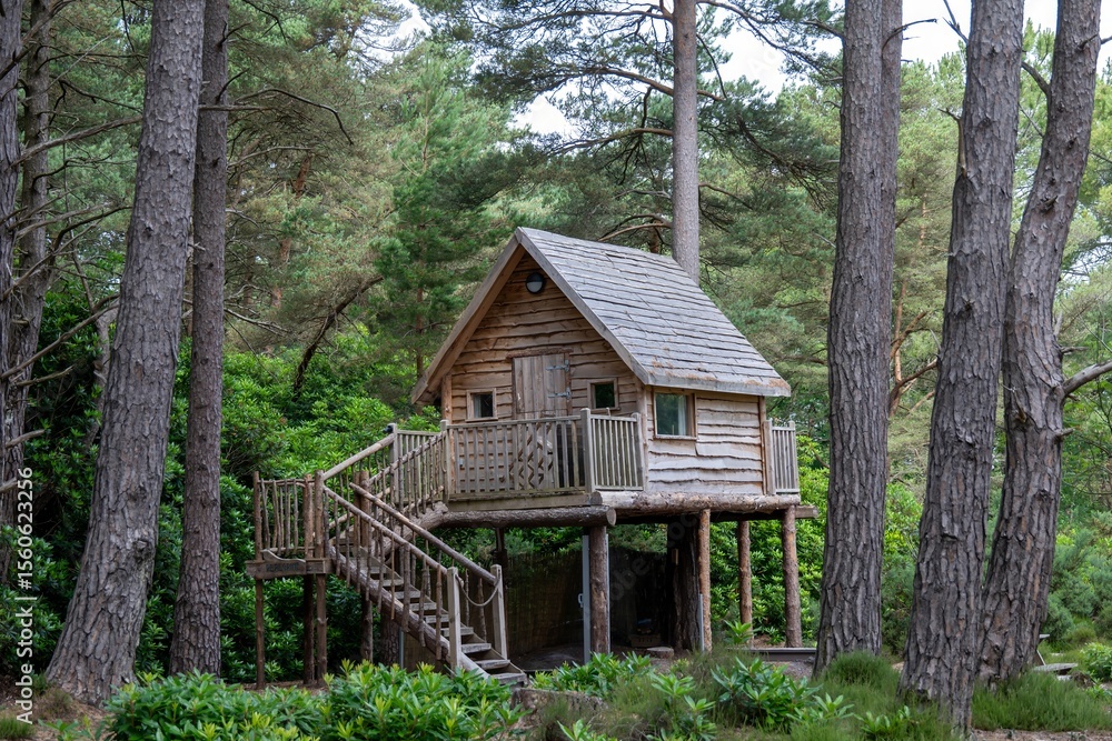 wooden treehouse at The Blue Pool Nature Reserve Dorset England wooden treehouse at The Blue Pool Nature Reserve Dorset England