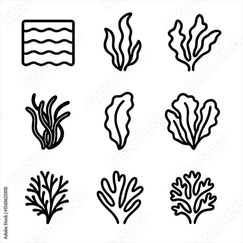 Seaweed Icons Grid. Outline icon set of seaweed species: nori, kelp, wakame, dulse, hijiki, kombu, sea lettuce, agar-agar, Irish