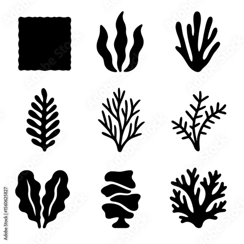 Seaweed Icon Grid. Solid, Filled icon set of seaweed species: nori, kelp, wakame, dulse, hijiki, kombu, sea lettuce, agar-agar,