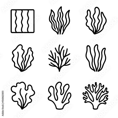 Seaweed Icons Grid. Outline icon set of seaweed species: nori, kelp, wakame, dulse, hijiki, kombu, sea lettuce, agar-agar, Irish