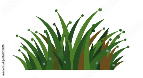 Green grass with dew drops in minimalist rustic style for forest walks